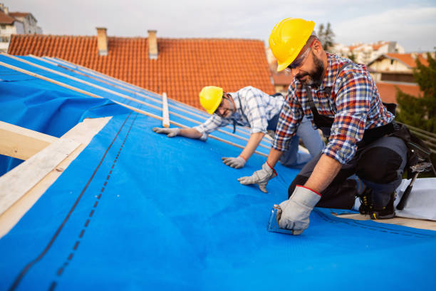 Best Emergency Roof Repair  in La Plata, MD